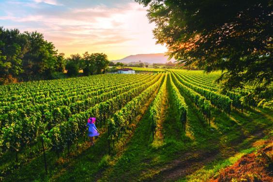 Il Poggio Διαμέρισμα Monticelli Brusati Εξωτερικό φωτογραφία